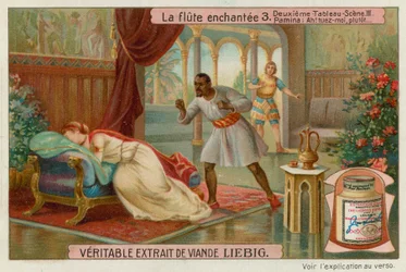 Papageno rettet Pamina vor Monostatos