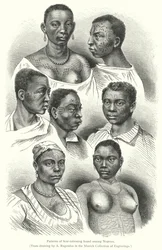 Muster der Narbentätowierung bei Afrikanern (Gravur)
