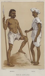 Braune Rasse, Abessinier, Inder