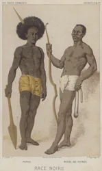 Schwarze Rasse, Papou, Schwarzer aus Guinea