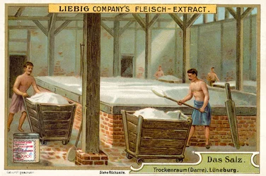 Salz: Trockenraum, Lüneburg, Deutschland