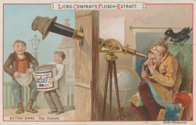 Die fünf Sinne: Sehen