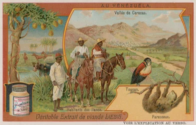 Das Tal von Caracas mit einem Tukan und einem Faultier und Stammesangehörigen aus den Ebenen