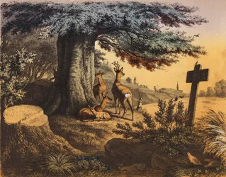 Unter der schattigen Buche sind das Eichhörnchen, Rehbock, Rehe und Kitz