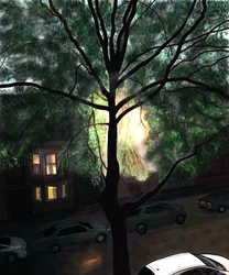 Nach dem Regen, erstes Licht, Brooklyn