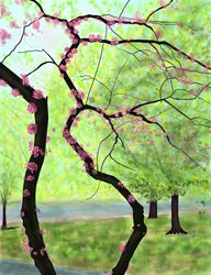 Blühender Baum, Brooklyn