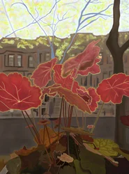 Coral Bells im Fensterkasten