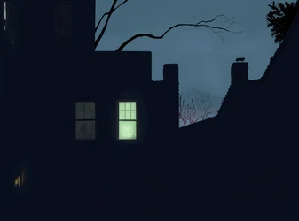 Paar im Fenster bei Nacht, Brooklyn