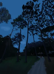 Hundespaziergang in der Dämmerung