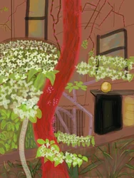 Blühende Hartriegelbäume, 2015