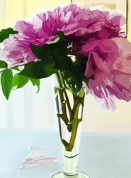 Magenta Pfingstrosen in Vase