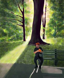 Mann liest im Park, Brooklyn