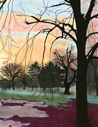 Prospect Park, Bäume