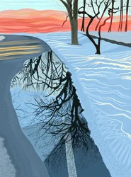 Pfütze und Schnee im Park, Brooklyn