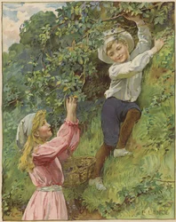 Ein junges Mädchen und ein junger Junge pflücken Brombeeren