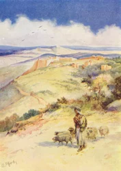 David der Hirtenjunge