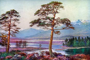 Am Loch Tulla, Black Mount, Argyllshire, Schottland, 1924-1926