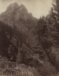 Ohne Titel, ca. 1884