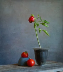 Stillleben mit roter Paprika