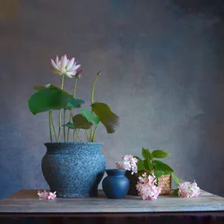 Heiteres Lotus-Stillleben
