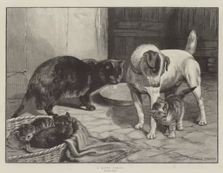 Eine glückliche Familie