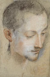 Studie eines jungen Mannes Kopf, spätes 16. Jahrhundert