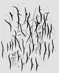 Parque, Illustration aus 