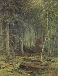 Sumpf im Wald, Herbst, 1872