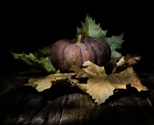Dunkler Herbstkürbis