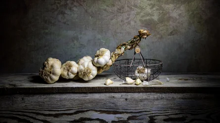 Rustikales Knoblauch-Stillleben