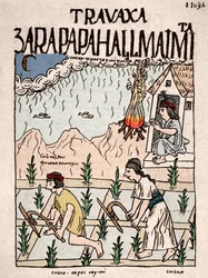 Inkareich: Ein Indianerpaar aus der Klasse der Hatun Runa bearbeitet im Januar das Land - Tuschezeichnung aus Don Felipe Puma de Ayalas Manuskript „Nueva coronica y buen gobierno“, die das Leben der Inka veranschaulicht - 16. Jahrhundert