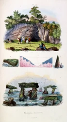 Botanische und zoologische Illustration von F. E. Guerin. Aus Dictionnaire pittoresque d