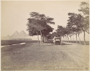 Kairo. Allee der Pyramiden