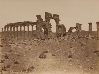 Palmyra: Überblick über den Triumphbogen und die Kolonnade