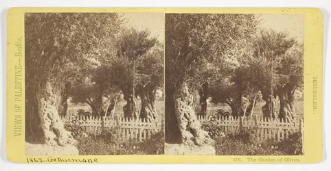 Der Garten der Oliven, Jerusalem, Nr. 576 aus der Serie "Ansichten von Palästina"