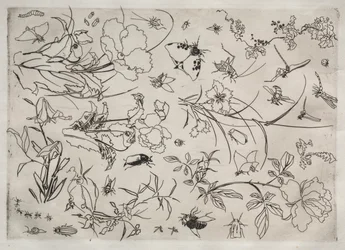 Tafelservice (Rousseau-Service): Blumen und Insekten (Nr. 15)