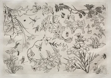 Tafelservice Rousseau-Service: Blumen Nr. 22, 1866