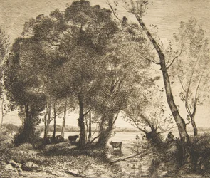 Der See