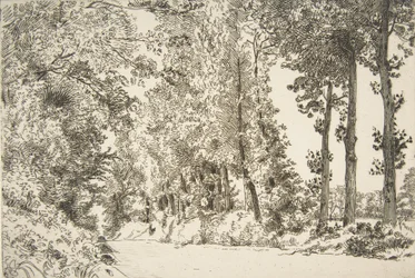 Rue des Bruyères, in Sèvres, 1868