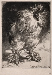 Der französische Hahn, 1893