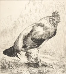 Der alte Hahn, 1882.