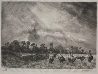 Die Sturmwolke