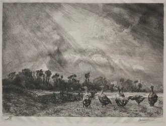 Die Sturmwolke, 1878-1887