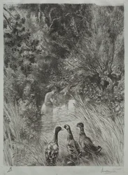 Die überraschten Enten