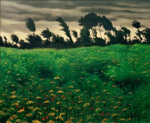 Das blühende Feld