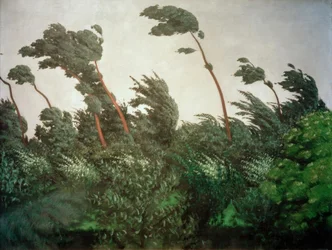 Der Wind