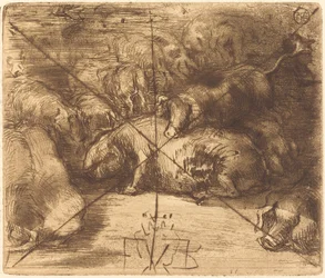 Schweine in der Sonne
