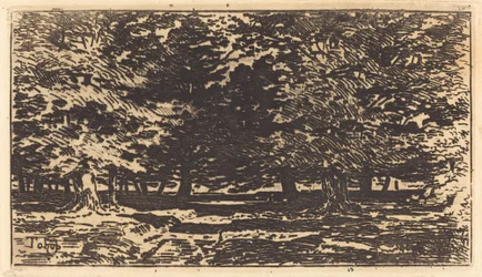 Wald