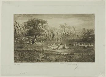 Gänse