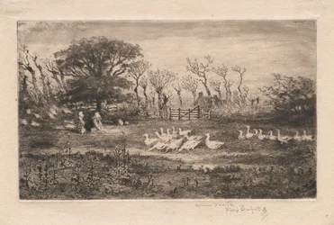 Gänse